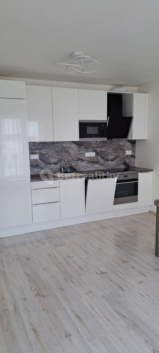 1 bedroom with open-plan kitchen flat to rent, 54 m², Moskalykova, Brno, Jihomoravský Region 1 bedroom with open-plan kitchen flat to rent, 54 m², Moskalykova, Brno, Jihomoravský Region