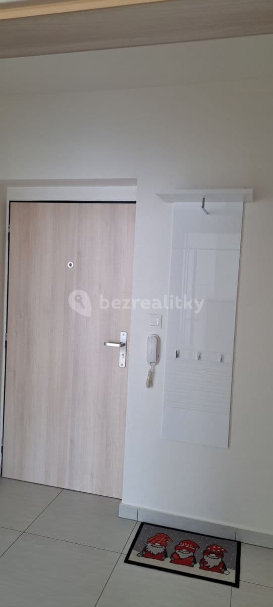 1 bedroom with open-plan kitchen flat to rent, 54 m², Moskalykova, Brno, Jihomoravský Region 1 bedroom with open-plan kitchen flat to rent, 54 m², Moskalykova, Brno, Jihomoravský Region