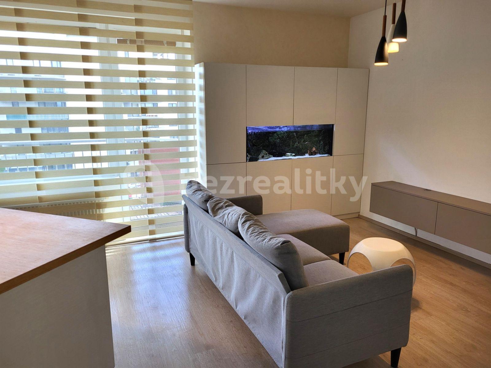 1 bedroom with open-plan kitchen flat to rent, 67 m², Brno, Jihomoravský Region