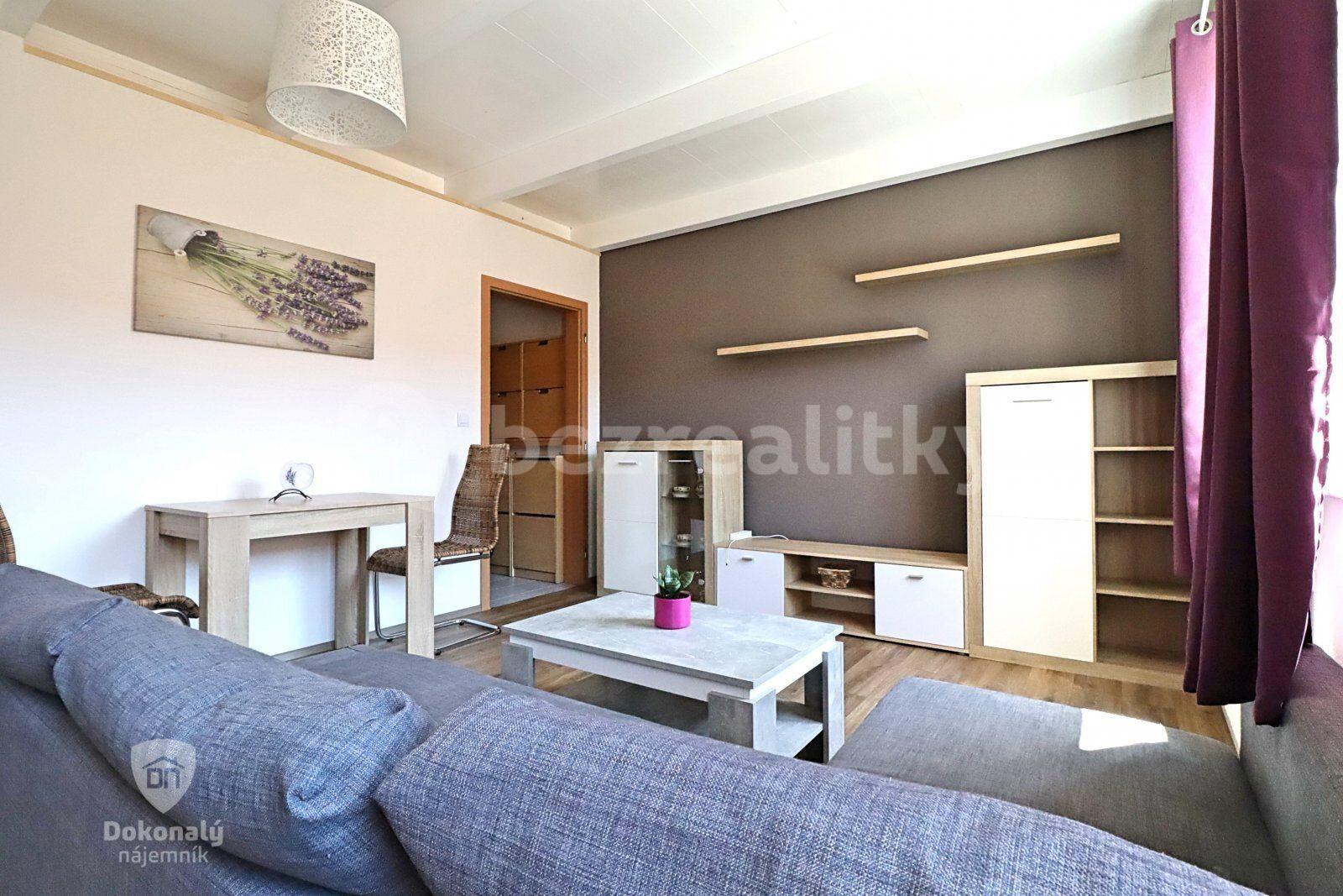 1 bedroom with open-plan kitchen flat to rent, 55 m², Komenského, Šestajovice, Středočeský Region