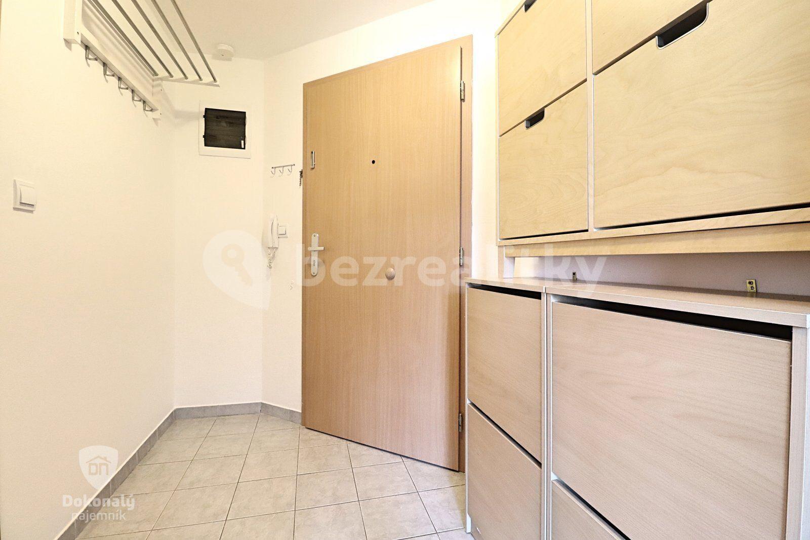 1 bedroom with open-plan kitchen flat to rent, 55 m², Komenského, Šestajovice, Středočeský Region