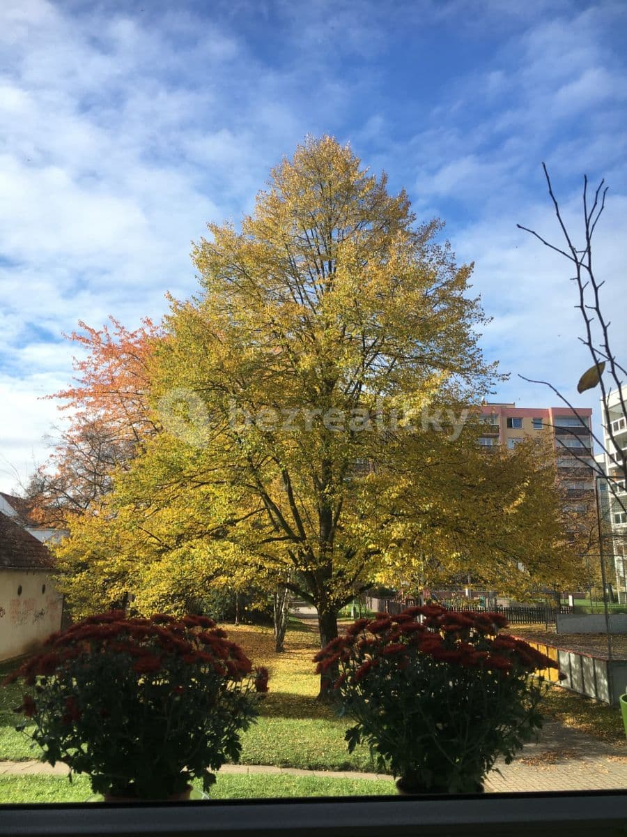 1 bedroom flat to rent, 38 m², Na Hranicích, Prague, Prague 1 bedroom flat to rent, 38 m², Na Hranicích, Prague, Prague