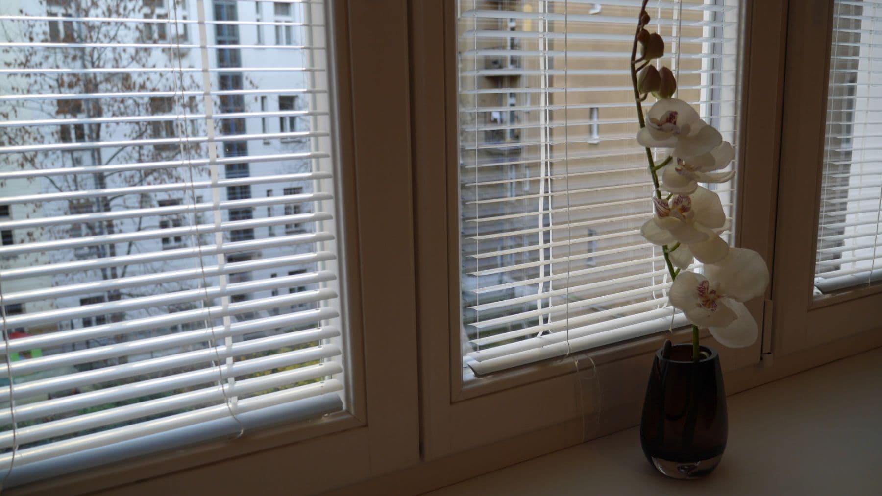 flat to rent, 45 m², Sportovní, Prague, Prague flat to rent, 45 m², Sportovní, Prague, Prague