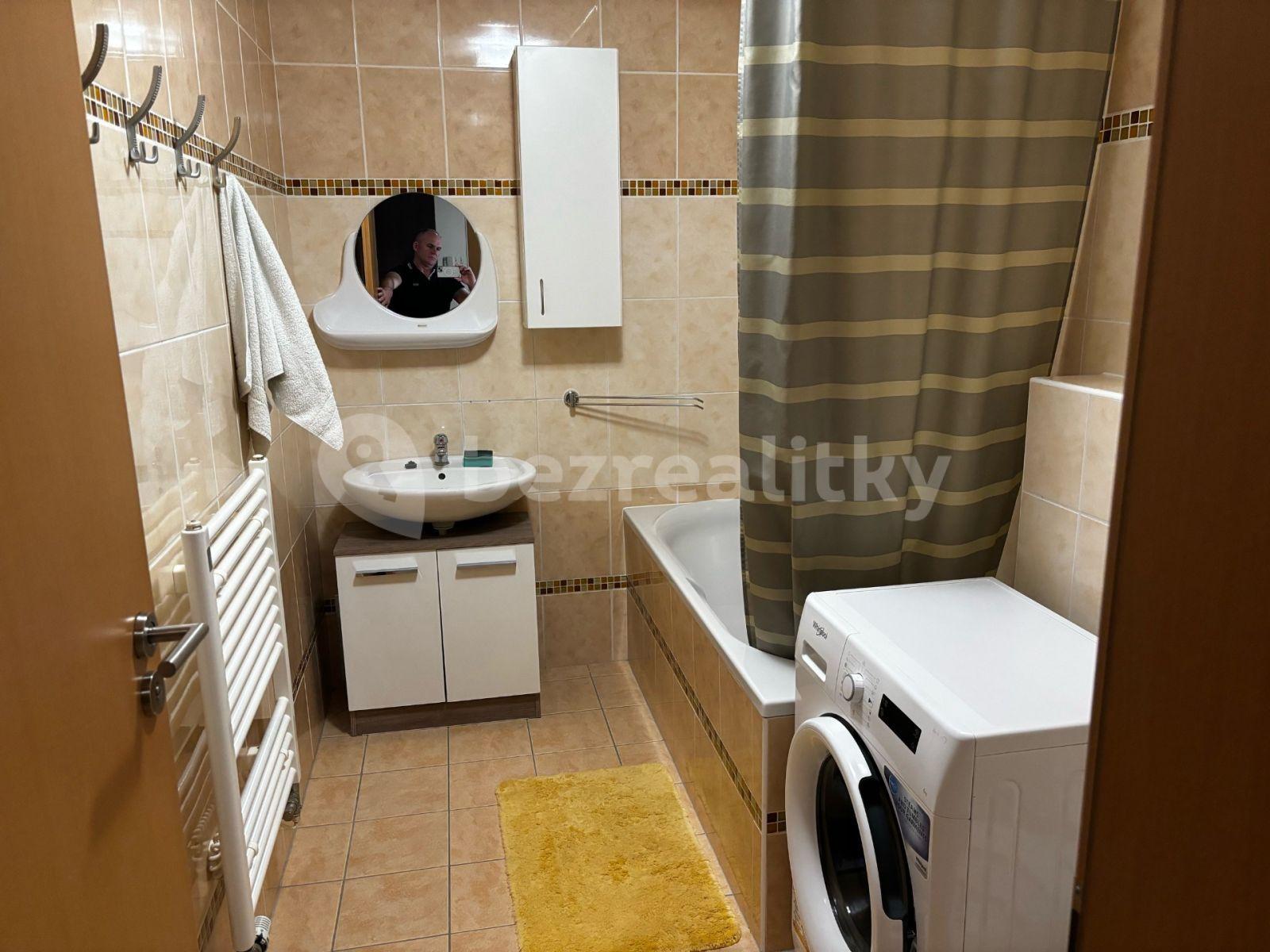 1 bedroom with open-plan kitchen flat to rent, 55 m², Na kovárně, Brno, Jihomoravský Region