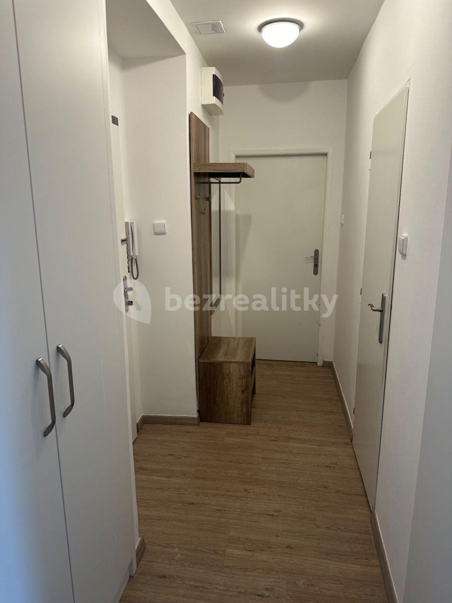 1 bedroom with open-plan kitchen flat for sale, 55 m², Dětská, Prague, Prague