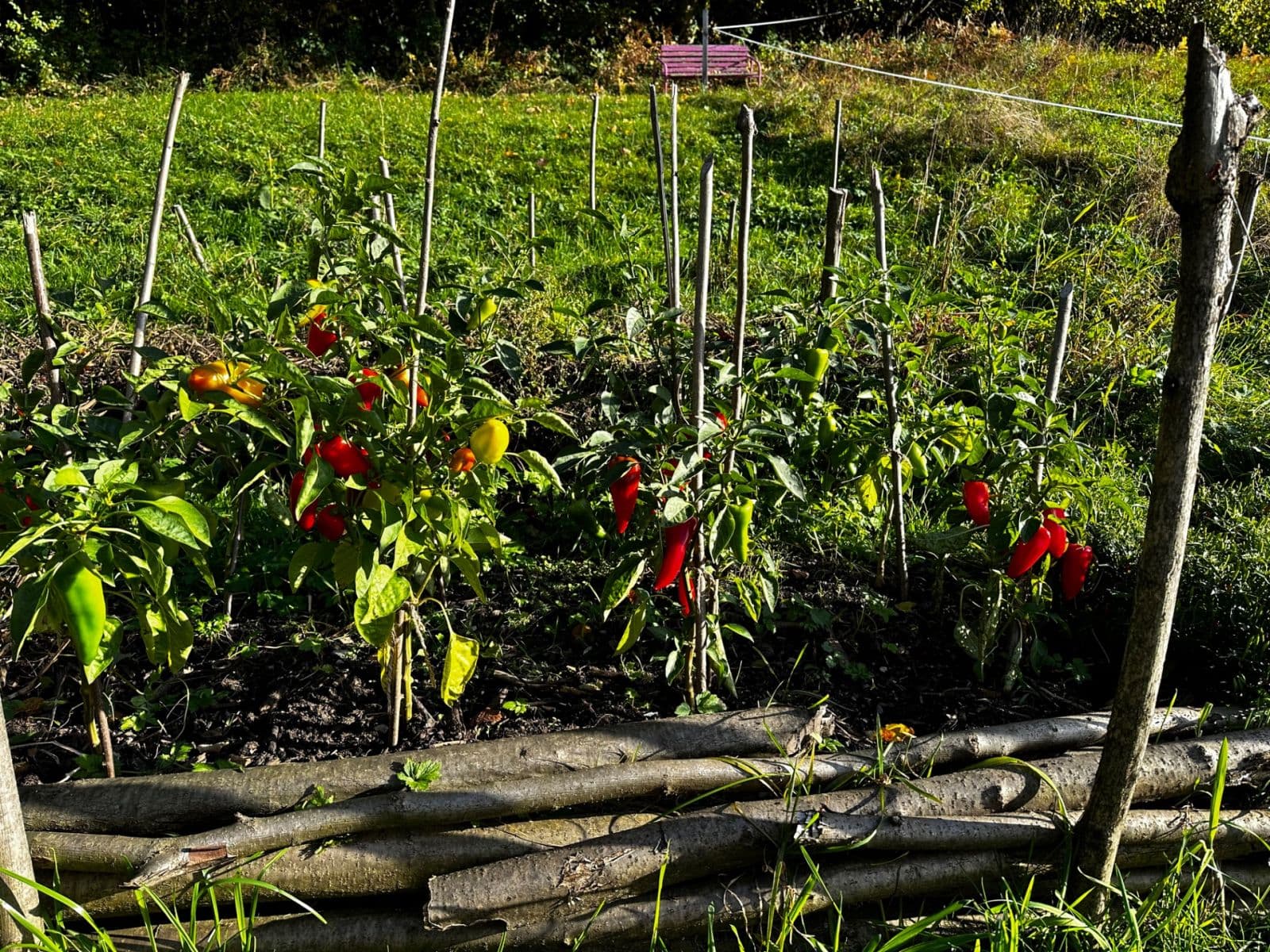 plot for sale, 10,000 m², Bystřice, Moravskoslezský Region plot for sale, 10,000 m², Bystřice, Moravskoslezský Region