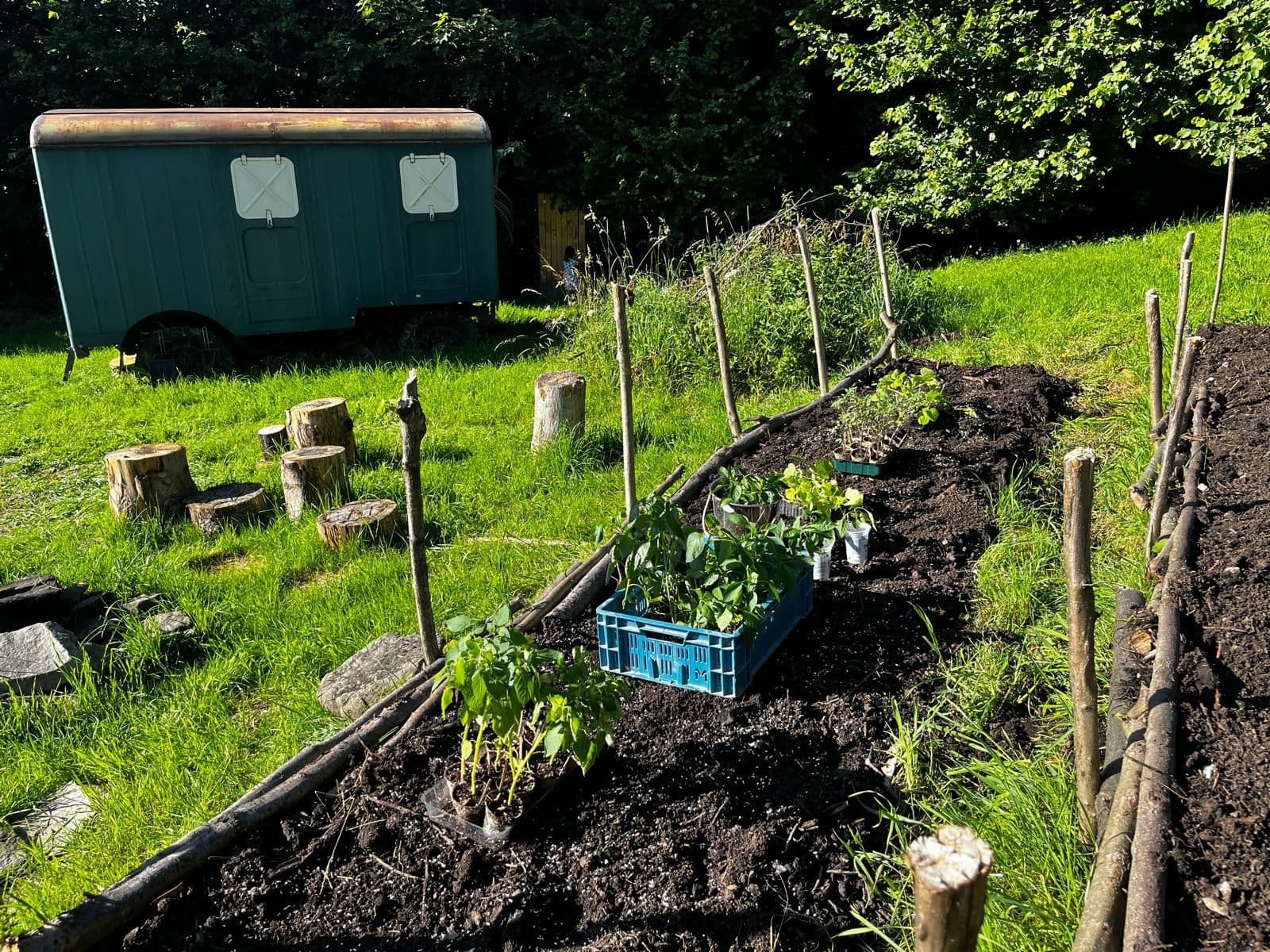 plot for sale, 10,000 m², Bystřice, Moravskoslezský Region plot for sale, 10,000 m², Bystřice, Moravskoslezský Region