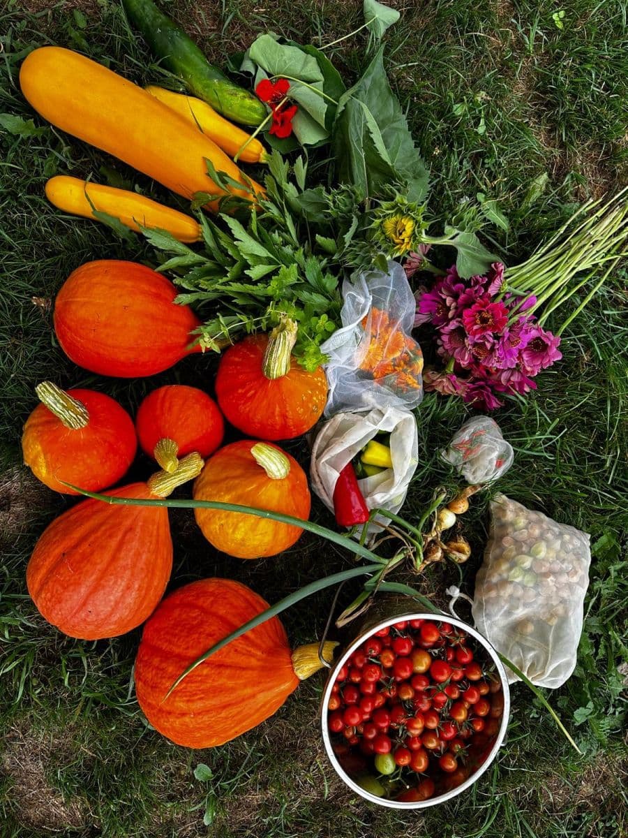 plot for sale, 10,000 m², Bystřice, Moravskoslezský Region plot for sale, 10,000 m², Bystřice, Moravskoslezský Region