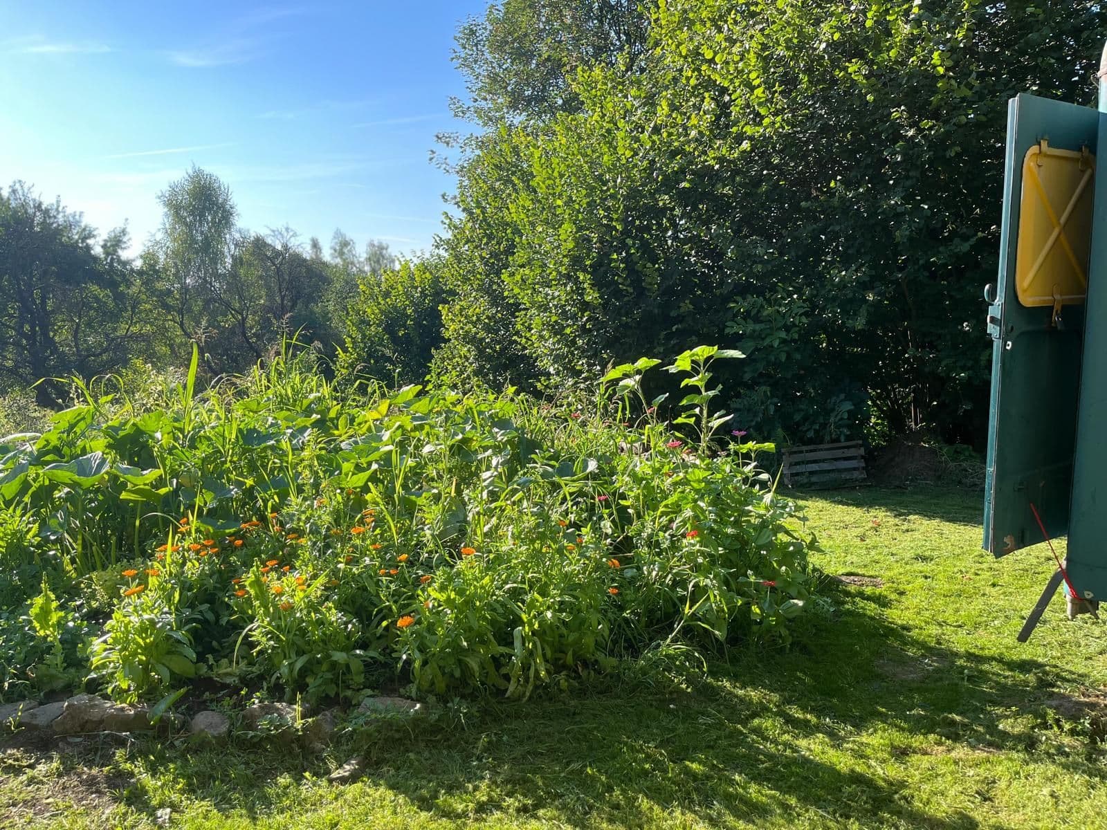 plot for sale, 10,000 m², Bystřice, Moravskoslezský Region plot for sale, 10,000 m², Bystřice, Moravskoslezský Region