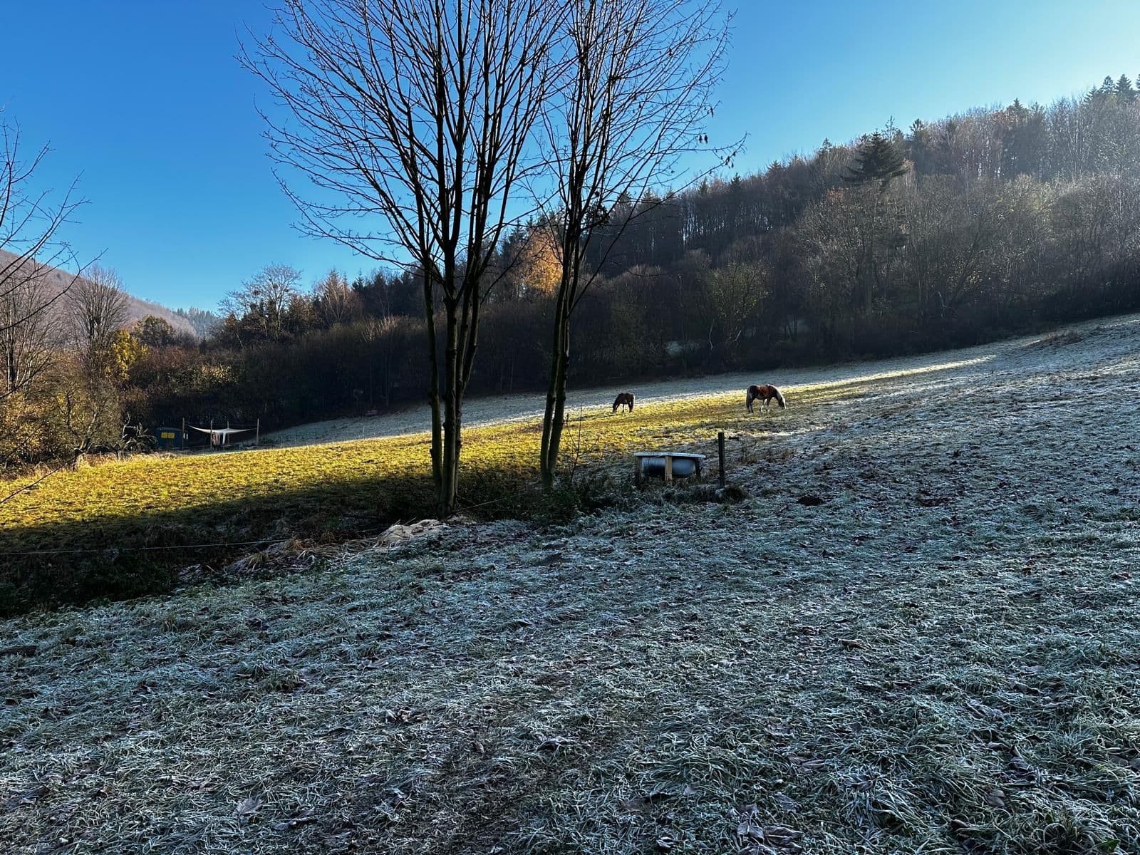 plot for sale, 10,000 m², Bystřice, Moravskoslezský Region plot for sale, 10,000 m², Bystřice, Moravskoslezský Region