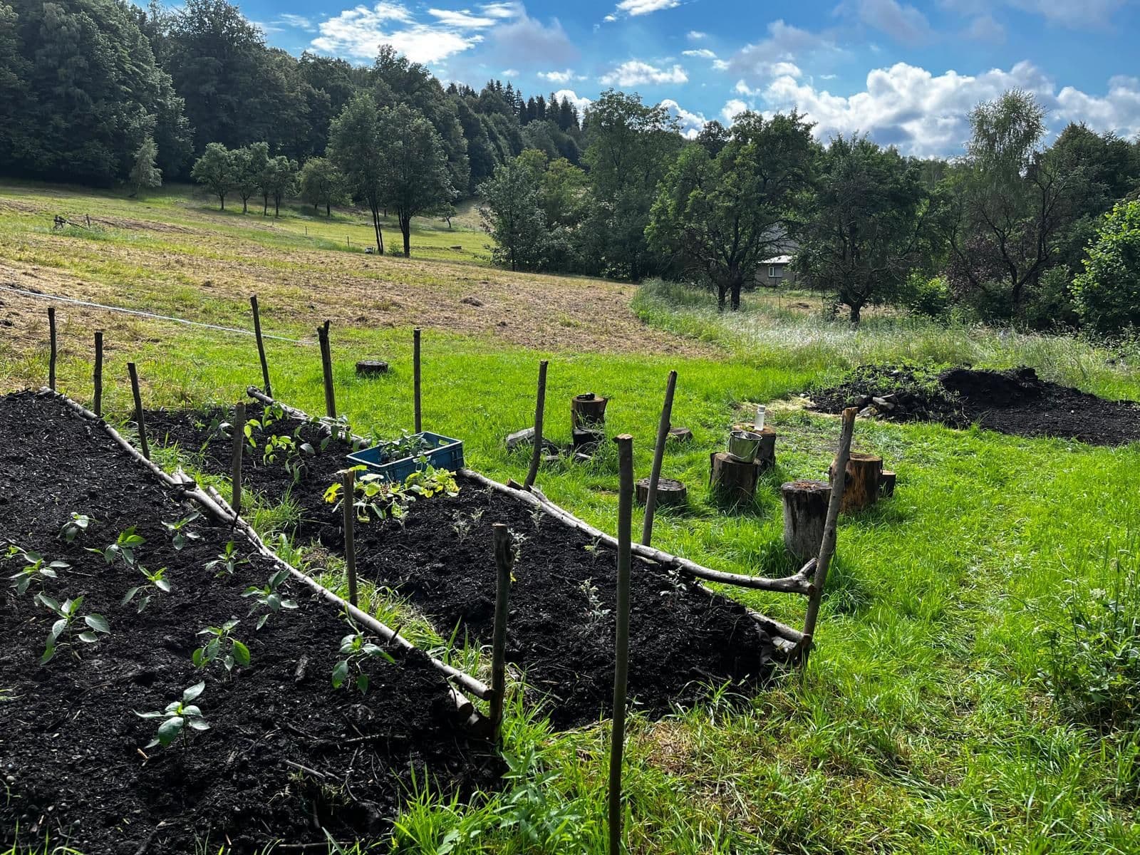 plot for sale, 10,000 m², Bystřice, Moravskoslezský Region plot for sale, 10,000 m², Bystřice, Moravskoslezský Region