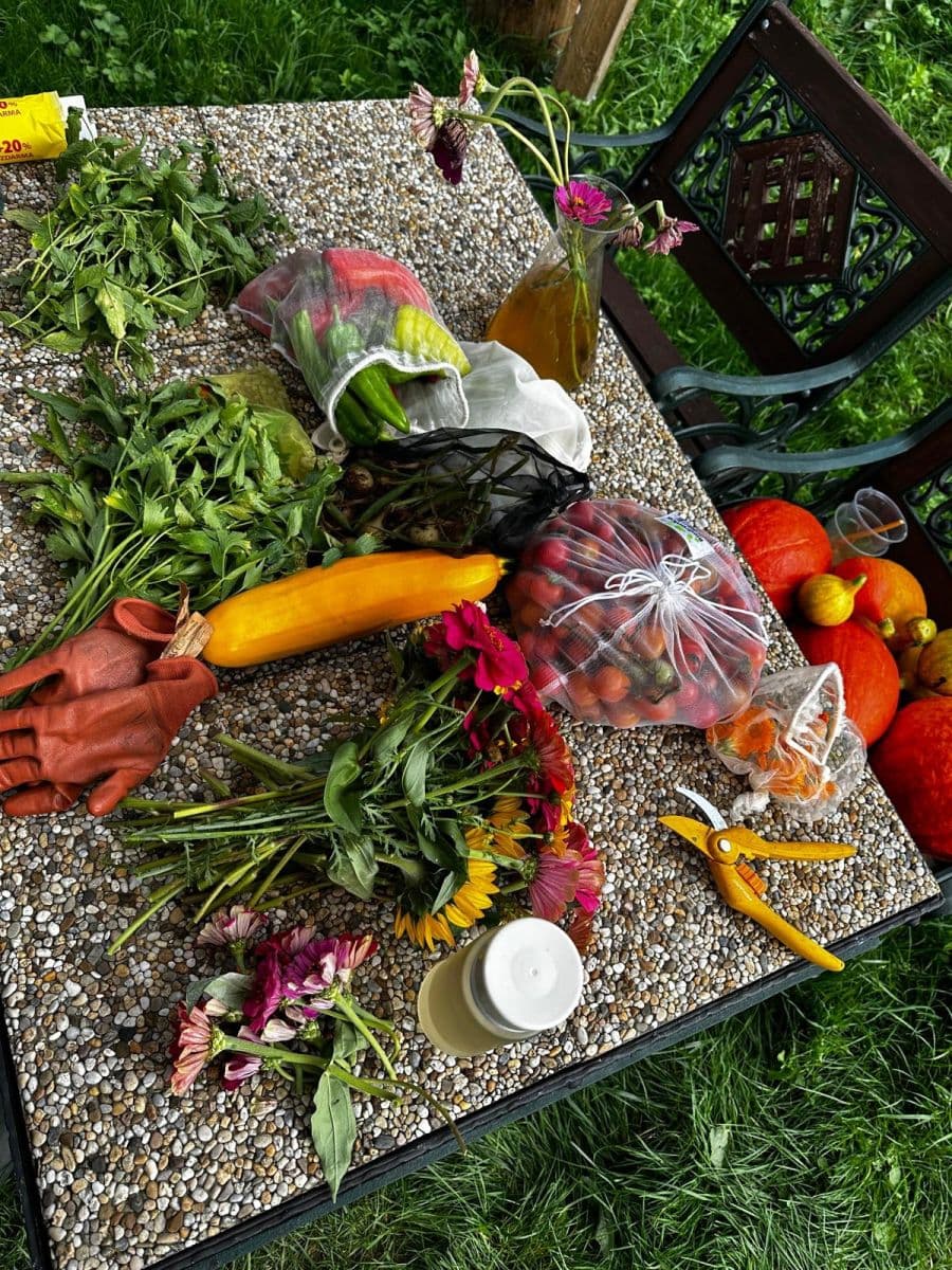 plot for sale, 10,000 m², Bystřice, Moravskoslezský Region plot for sale, 10,000 m², Bystřice, Moravskoslezský Region