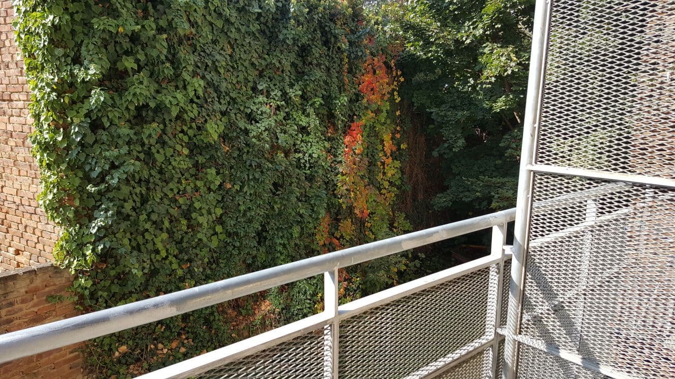 flat to rent, 67 m², V Zahradách, Prague, Prague flat to rent, 67 m², V Zahradách, Prague, Prague