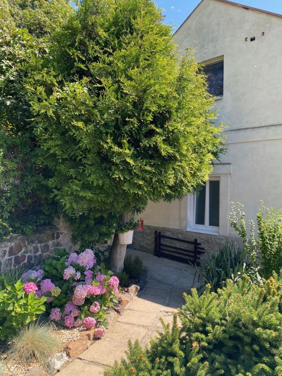 2 bedroom flat to rent, 63 m², U Potoka, Všenory, Středočeský Region 2 bedroom flat to rent, 63 m², U Potoka, Všenory, Středočeský Region