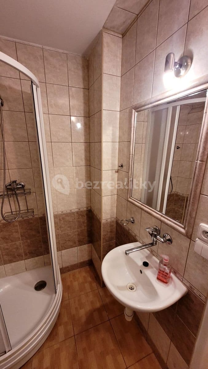 Studio flat to rent, 21 m², Sportovní, Prague, Prague Studio flat to rent, 21 m², Sportovní, Prague, Prague