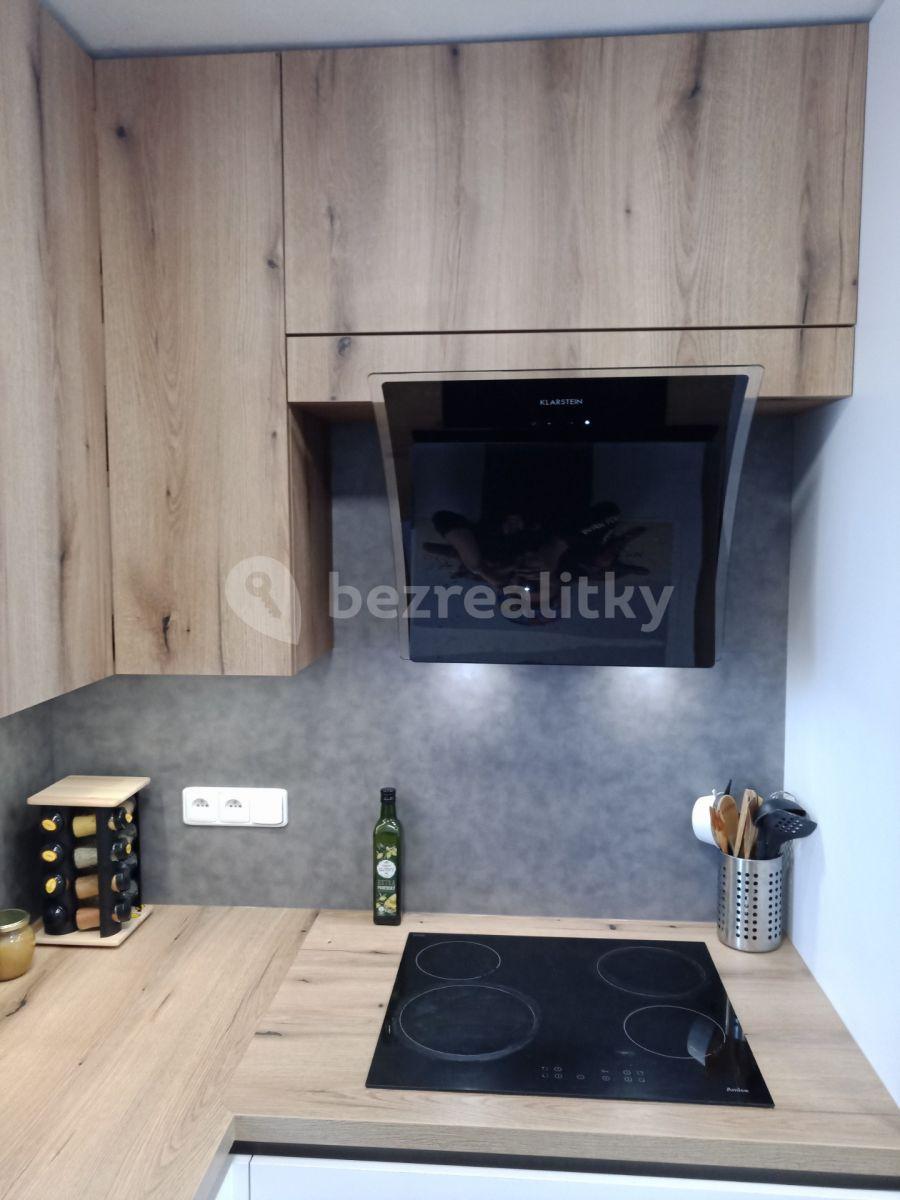 1 bedroom with open-plan kitchen flat for sale, 50 m², Prokopa Holého, Havlíčkův Brod, Vysočina Region
