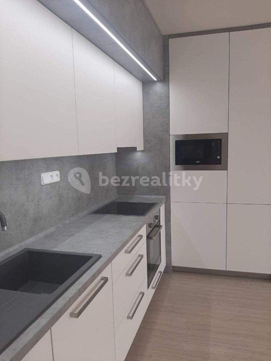 1 bedroom with open-plan kitchen flat to rent, 78 m², E. Beneše, České Budějovice, Jihočeský Region