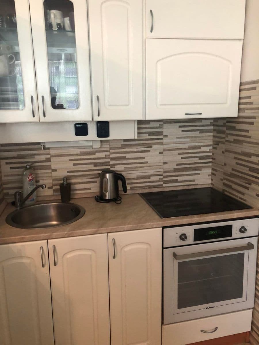 1 bedroom with open-plan kitchen flat to rent, 47 m², Vybíralova, Prague, Prague 1 bedroom with open-plan kitchen flat to rent, 47 m², Vybíralova, Prague, Prague