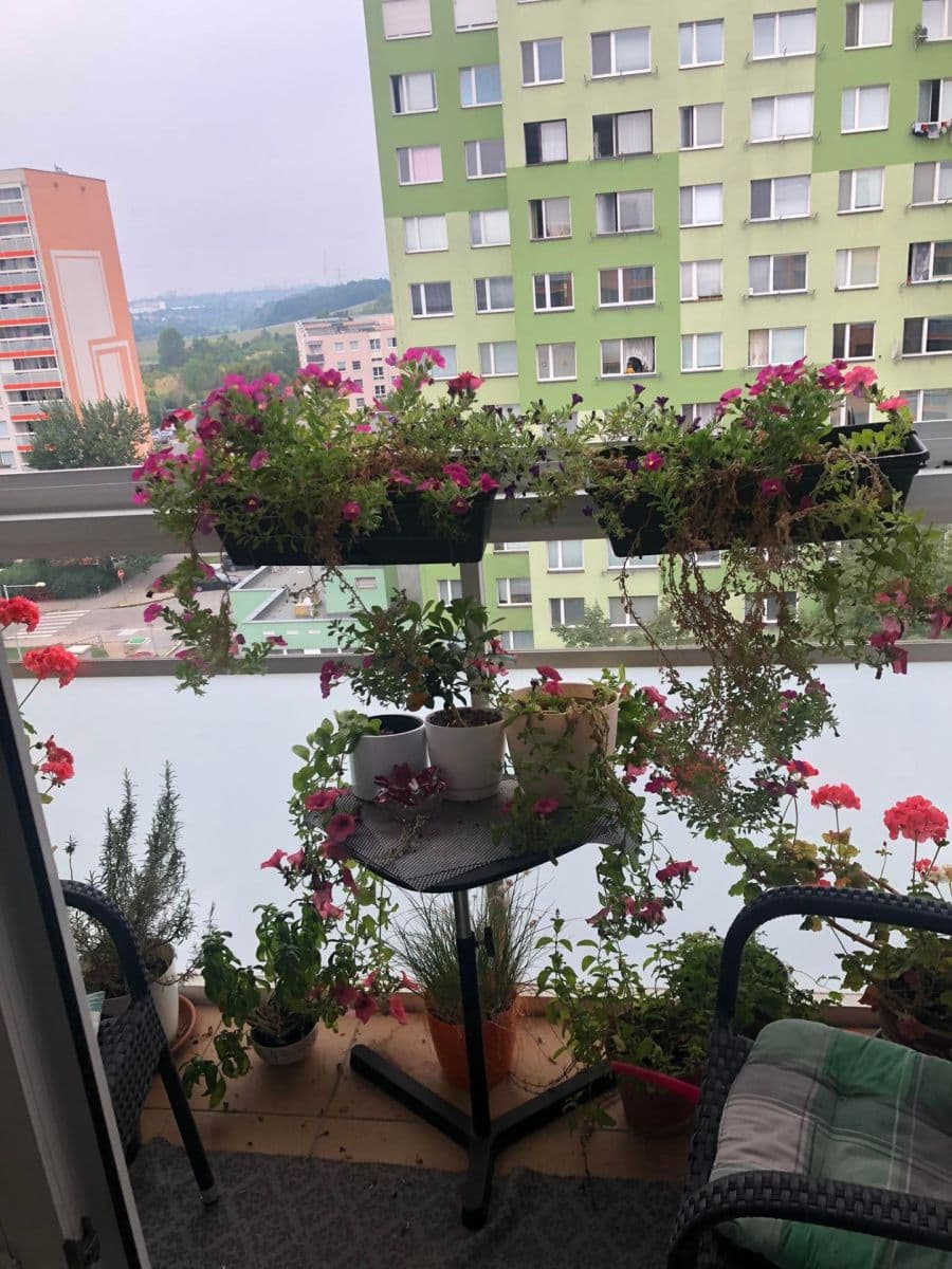 1 bedroom with open-plan kitchen flat to rent, 47 m², Vybíralova, Prague, Prague 1 bedroom with open-plan kitchen flat to rent, 47 m², Vybíralova, Prague, Prague