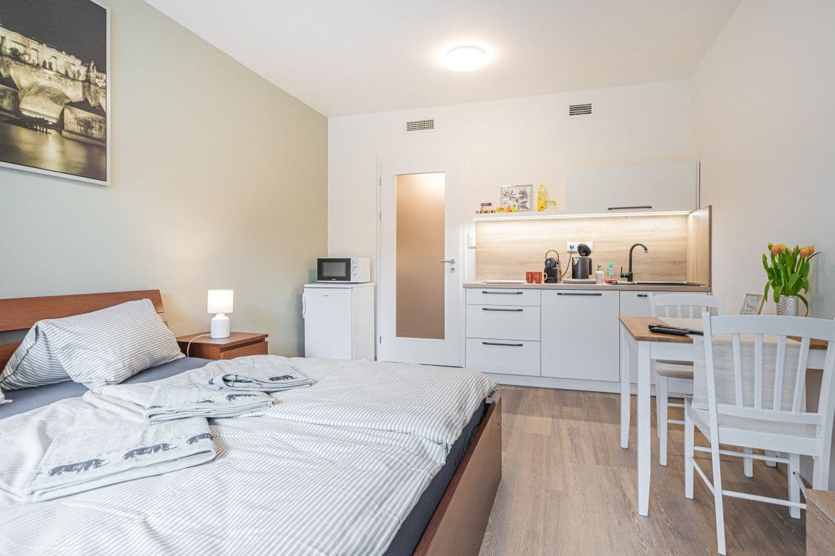 flat to rent, 35 m², Hlaváčkova, Prague, Prague flat to rent, 35 m², Hlaváčkova, Prague, Prague