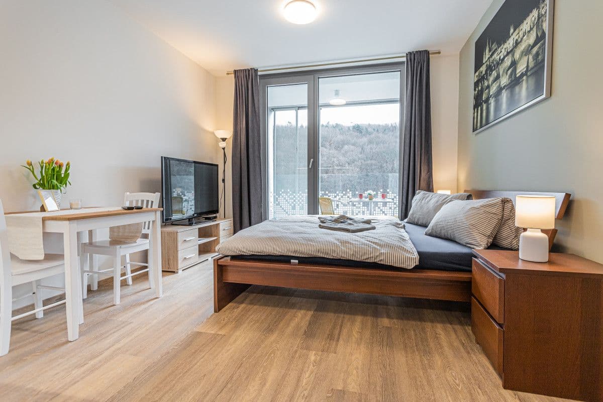 flat to rent, 35 m², Hlaváčkova, Prague, Prague flat to rent, 35 m², Hlaváčkova, Prague, Prague