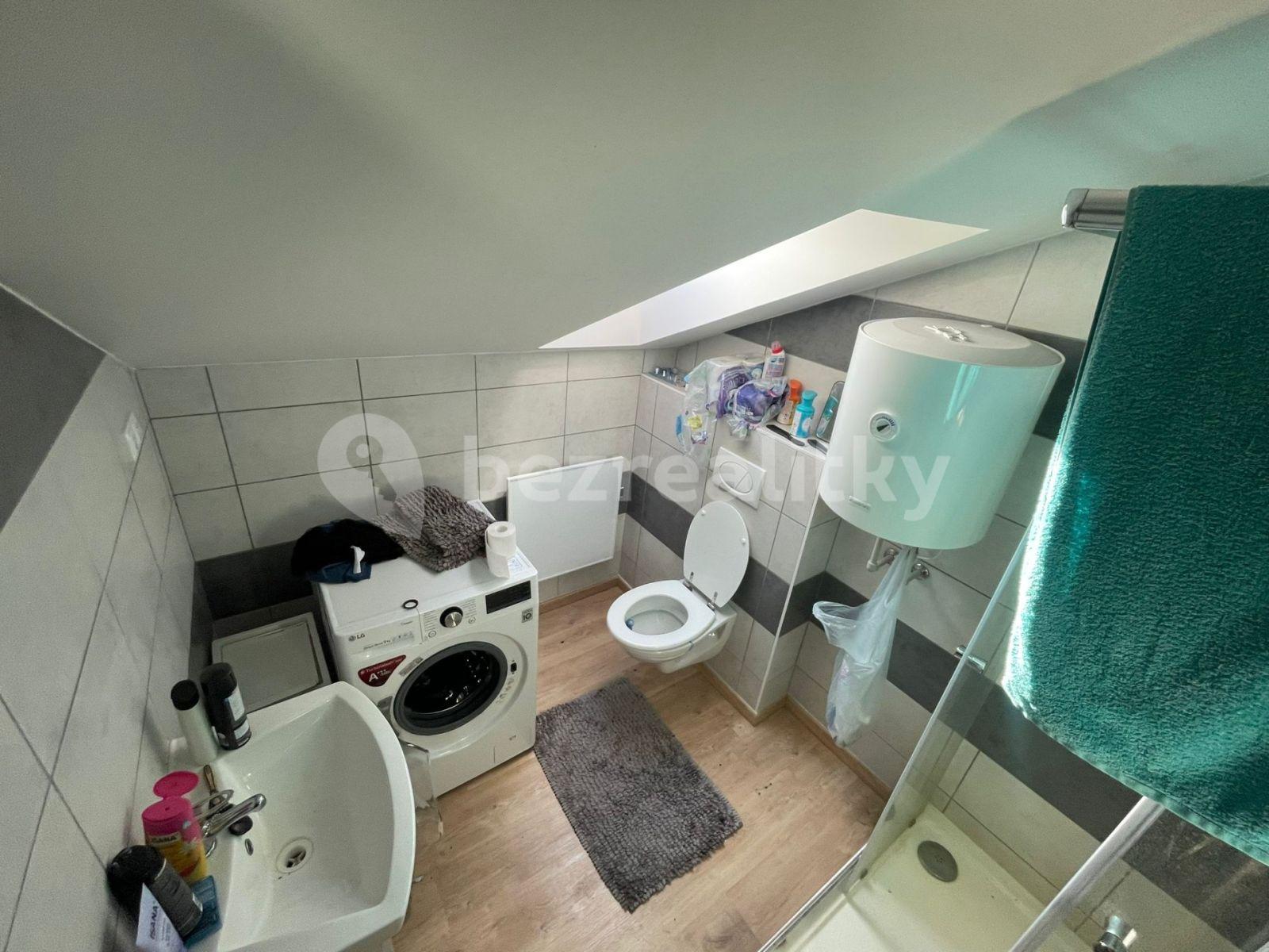 1 bedroom with open-plan kitchen flat to rent, 50 m², Rostoklaty, Středočeský Region