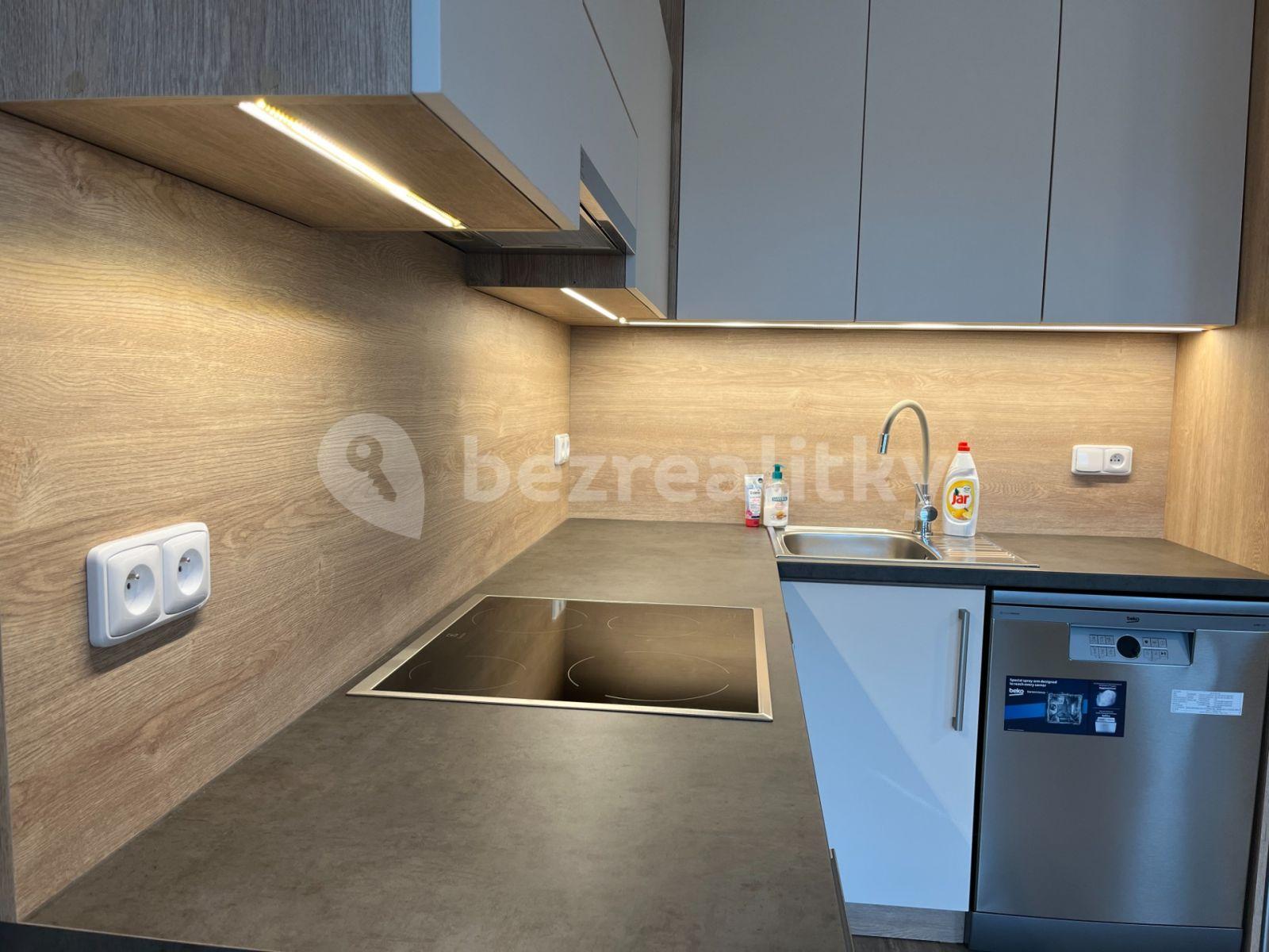 1 bedroom with open-plan kitchen flat to rent, 46 m², Novosady, Holešov, Zlínský Region