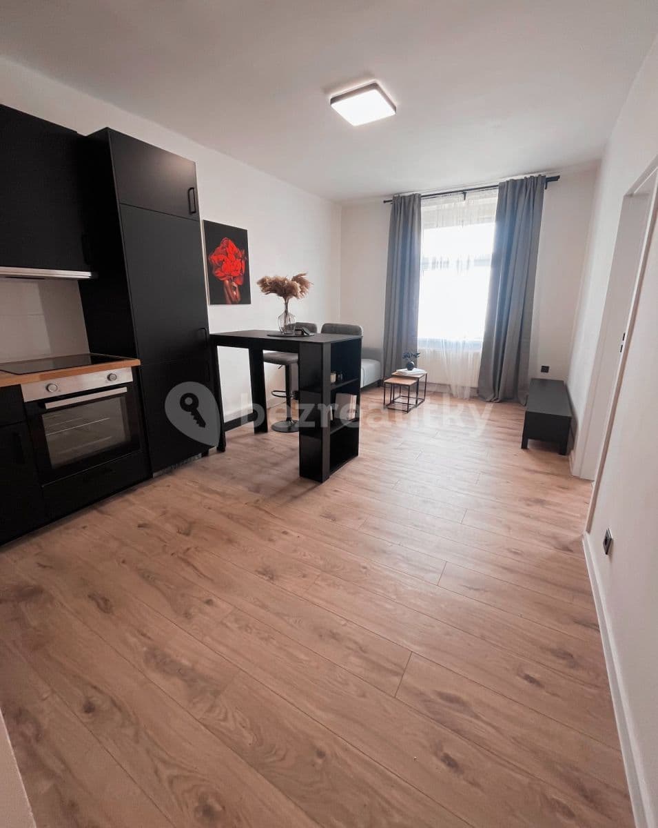1 bedroom with open-plan kitchen flat to rent, 48 m², Kovářská, Prague, Prague 1 bedroom with open-plan kitchen flat to rent, 48 m², Kovářská, Prague, Prague