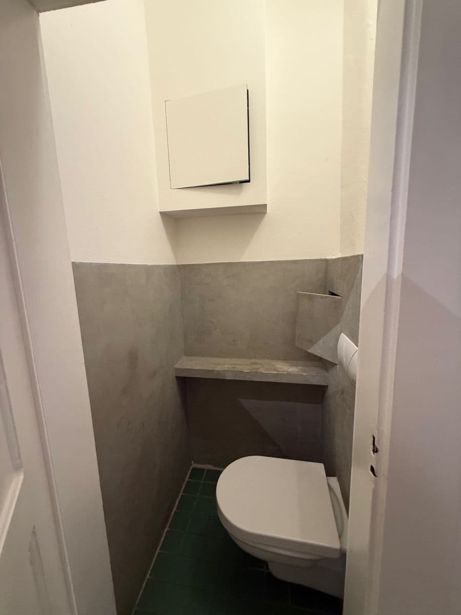 1 bedroom with open-plan kitchen flat to rent, 57 m², Šlikova, Prague, Prague 1 bedroom with open-plan kitchen flat to rent, 57 m², Šlikova, Prague, Prague