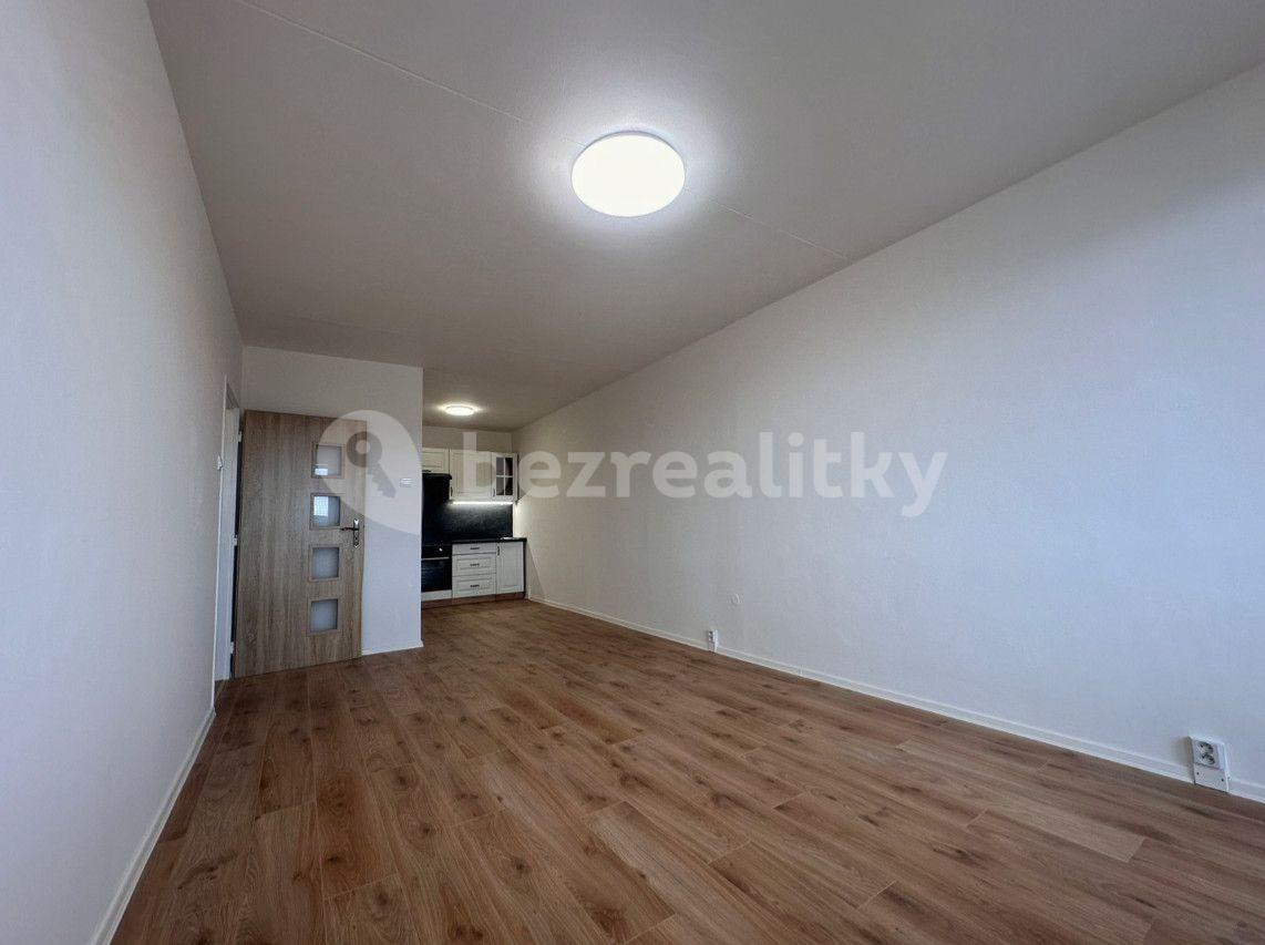 1 bedroom with open-plan kitchen flat for sale, 47 m², Aléská, Bílina, Ústecký Region