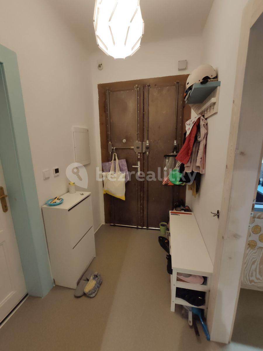 1 bedroom with open-plan kitchen flat to rent, 47 m², Veverkova, Prague, Prague