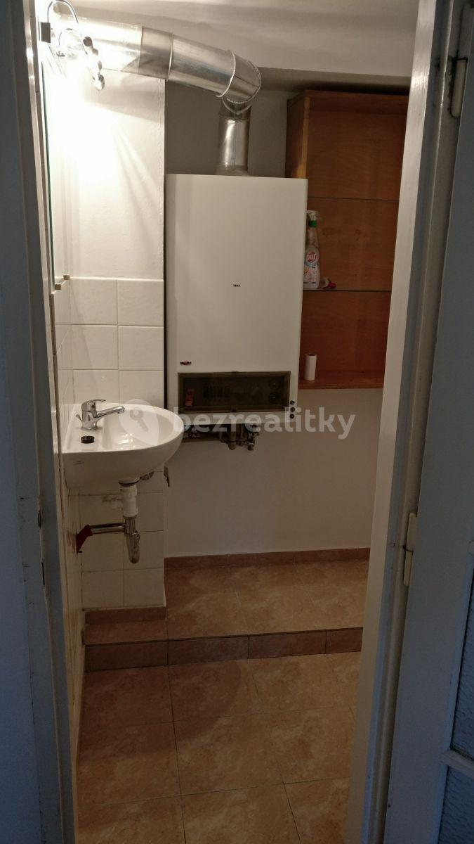 1 bedroom flat to rent, 25 m², V Rovinách, Prague, Prague