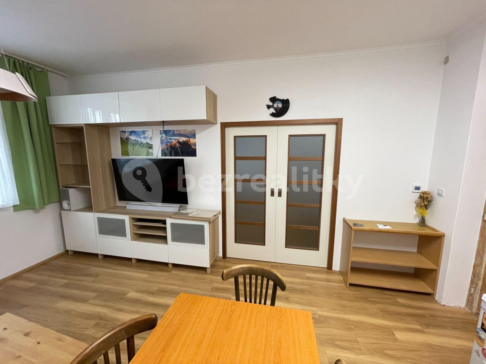 1 bedroom with open-plan kitchen flat to rent, 50 m², Rybářská, Brno, Jihomoravský Region