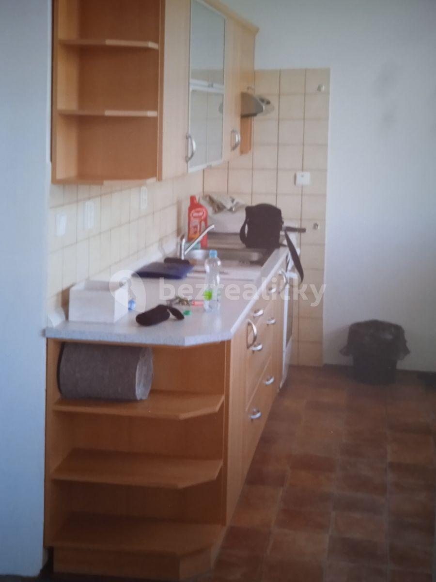 1 bedroom with open-plan kitchen flat to rent, 56 m², U Háječku, Sedlčany, Středočeský Region