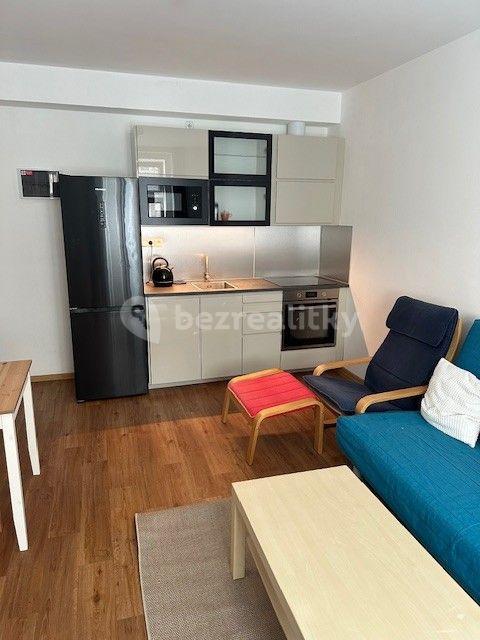 1 bedroom with open-plan kitchen flat to rent, 49 m², Buchovcova, Prague, Prague