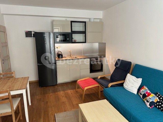 1 bedroom with open-plan kitchen flat to rent, 49 m², Buchovcova, Prague, Prague