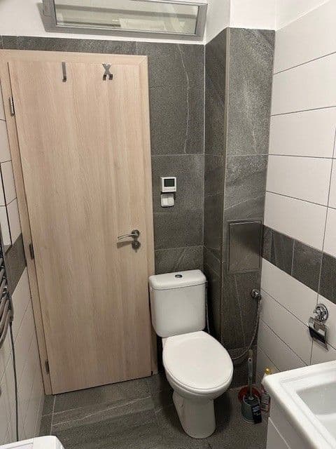 1 bedroom with open-plan kitchen flat to rent, 49 m², Buchovcova, Prague, Prague 1 bedroom with open-plan kitchen flat to rent, 49 m², Buchovcova, Prague, Prague