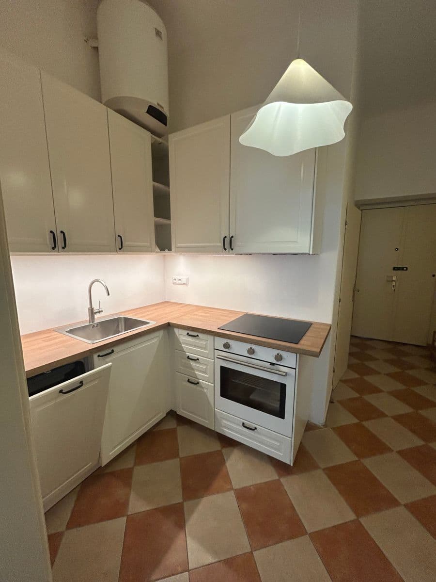 1 bedroom with open-plan kitchen flat to rent, 55 m², Bubenská, Prague, Prague 1 bedroom with open-plan kitchen flat to rent, 55 m², Bubenská, Prague, Prague