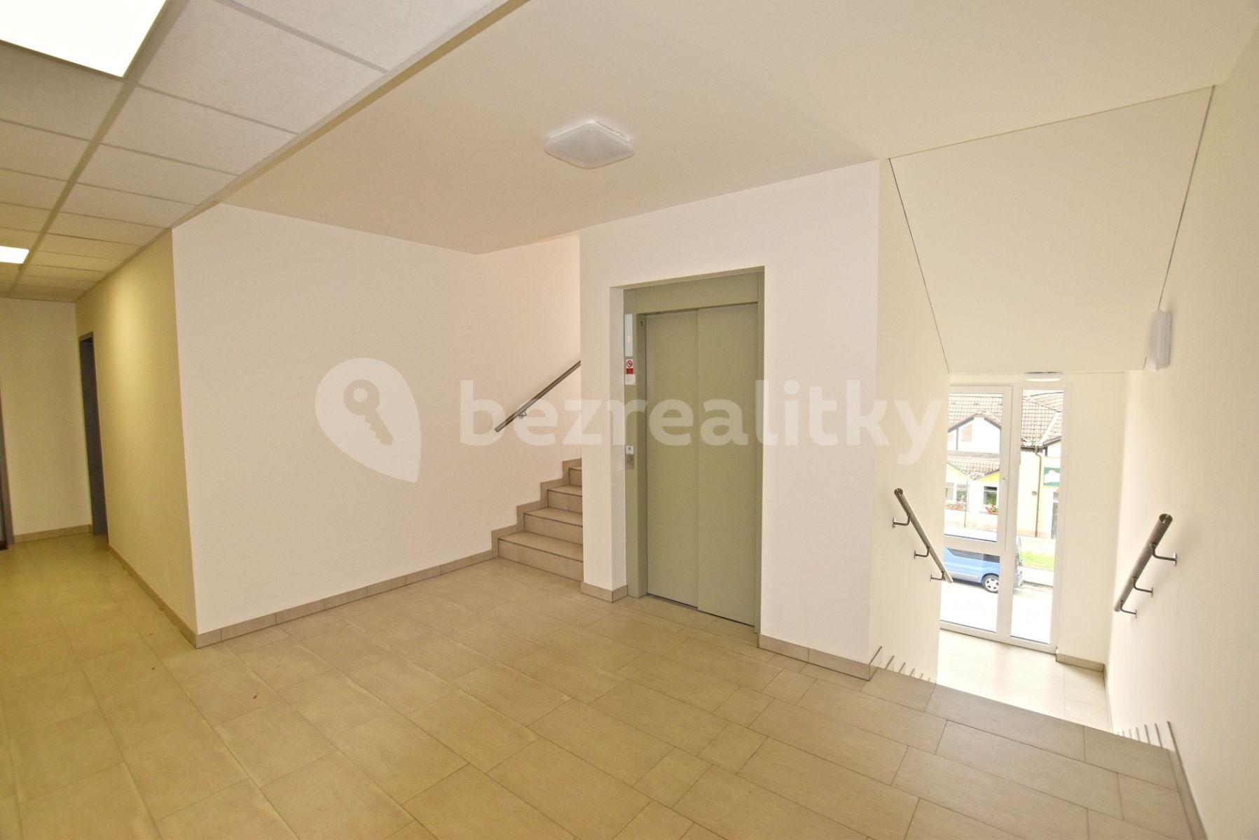 Studio flat to rent, 35 m², Novohradská, České Budějovice, Jihočeský Region