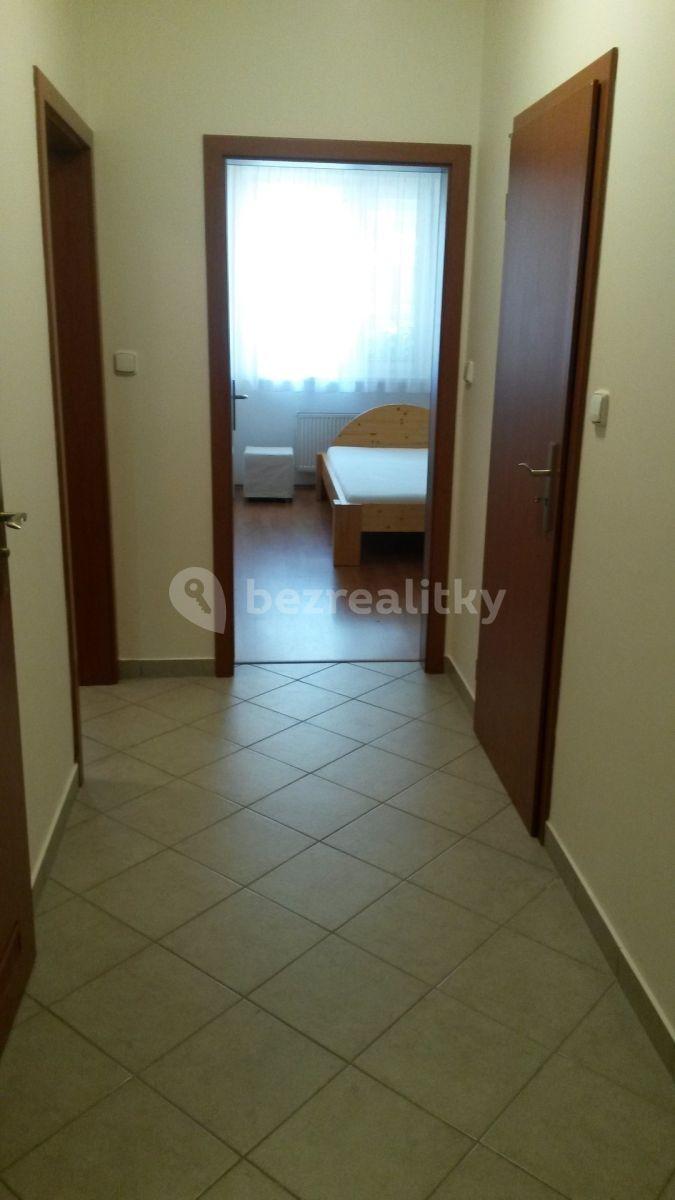 1 bedroom with open-plan kitchen flat to rent, 44 m², Rižská, Prague, Prague