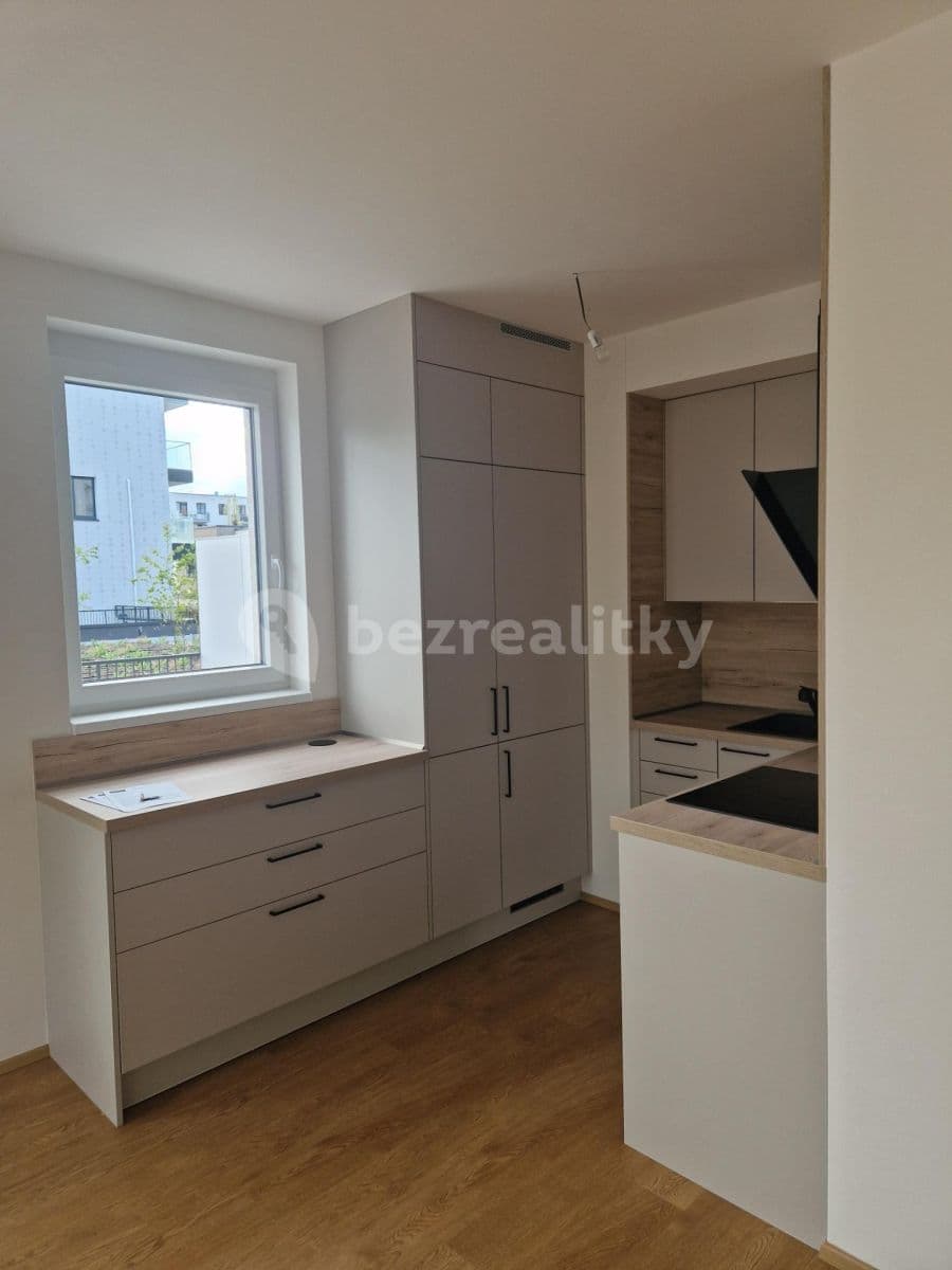 1 bedroom with open-plan kitchen flat to rent, 53 m², Pod Harfou, Prague, Prague 1 bedroom with open-plan kitchen flat to rent, 53 m², Pod Harfou, Prague, Prague