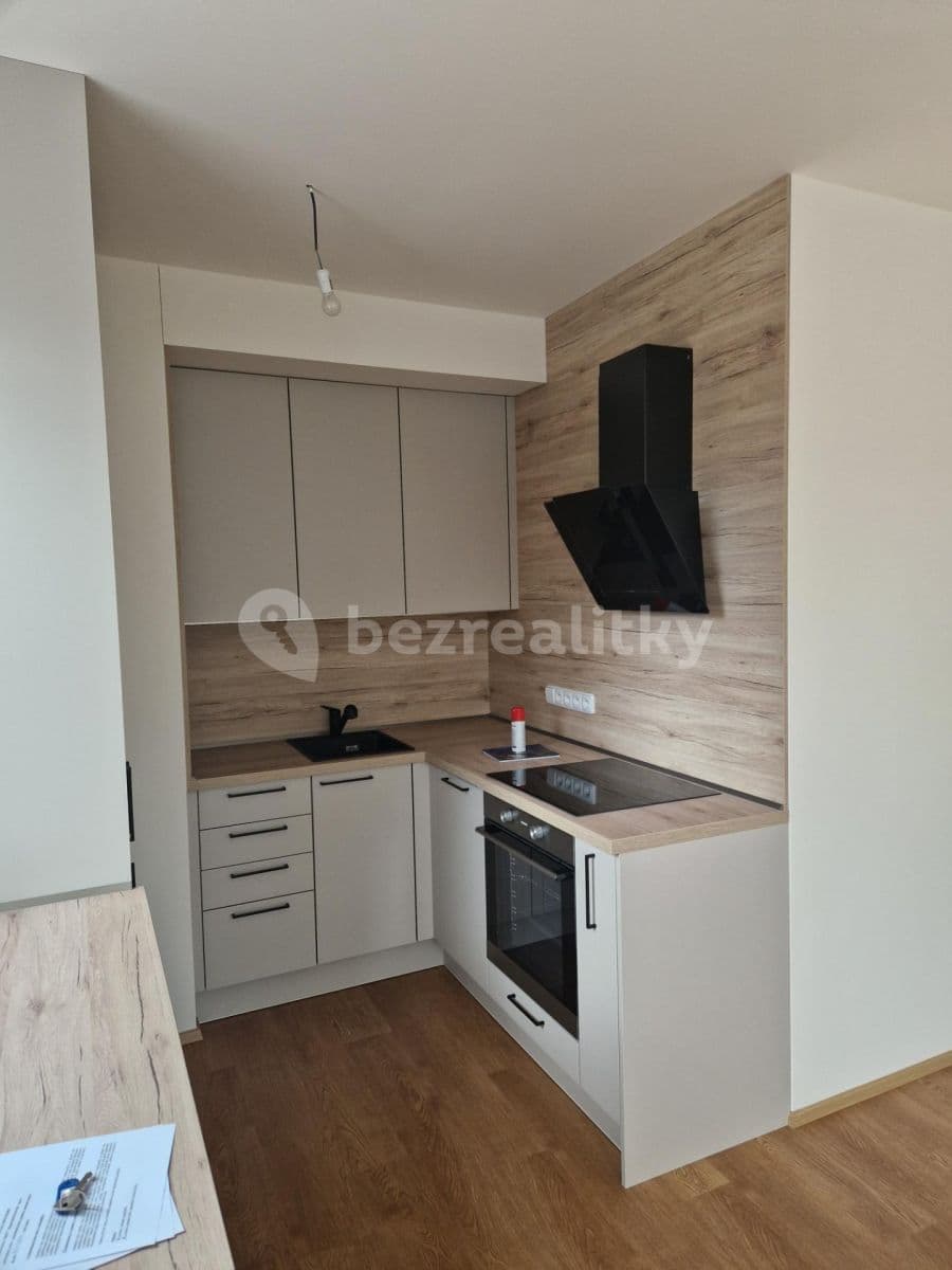 1 bedroom with open-plan kitchen flat to rent, 53 m², Pod Harfou, Prague, Prague 1 bedroom with open-plan kitchen flat to rent, 53 m², Pod Harfou, Prague, Prague