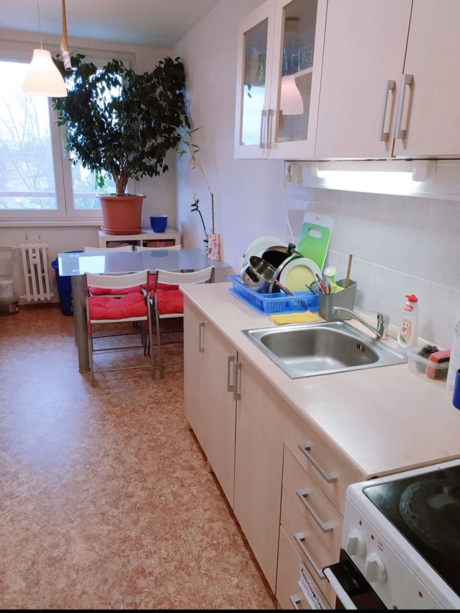 flat to rent, 80 m², Voskovcova, Prague, Prague flat to rent, 80 m², Voskovcova, Prague, Prague