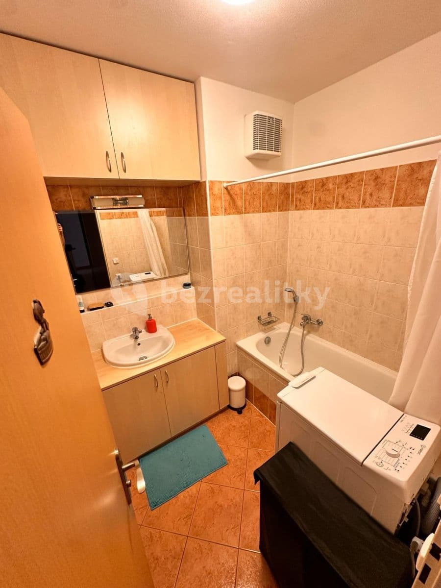 1 bedroom with open-plan kitchen flat to rent, 67 m², Bělohorská, Brno, Jihomoravský Region 1 bedroom with open-plan kitchen flat to rent, 67 m², Bělohorská, Brno, Jihomoravský Region