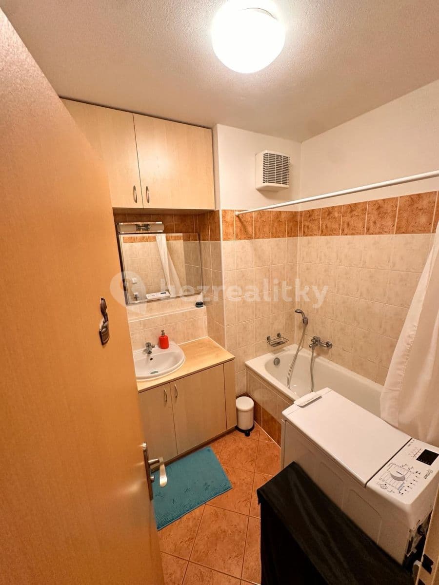 1 bedroom with open-plan kitchen flat to rent, 67 m², Bělohorská, Brno, Jihomoravský Region 1 bedroom with open-plan kitchen flat to rent, 67 m², Bělohorská, Brno, Jihomoravský Region