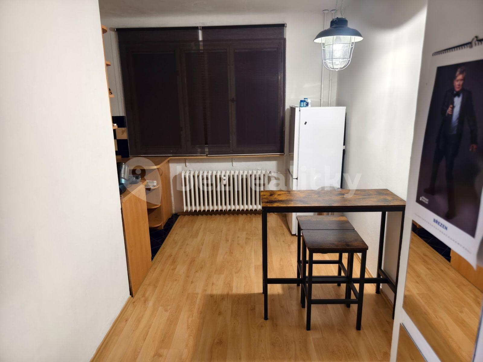 1 bedroom with open-plan kitchen flat to rent, 58 m², Slunný vrch, Zruč nad Sázavou, Středočeský Region