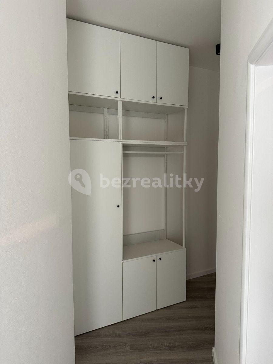 1 bedroom with open-plan kitchen flat to rent, 42 m², Veleslavínská, Prague, Prague