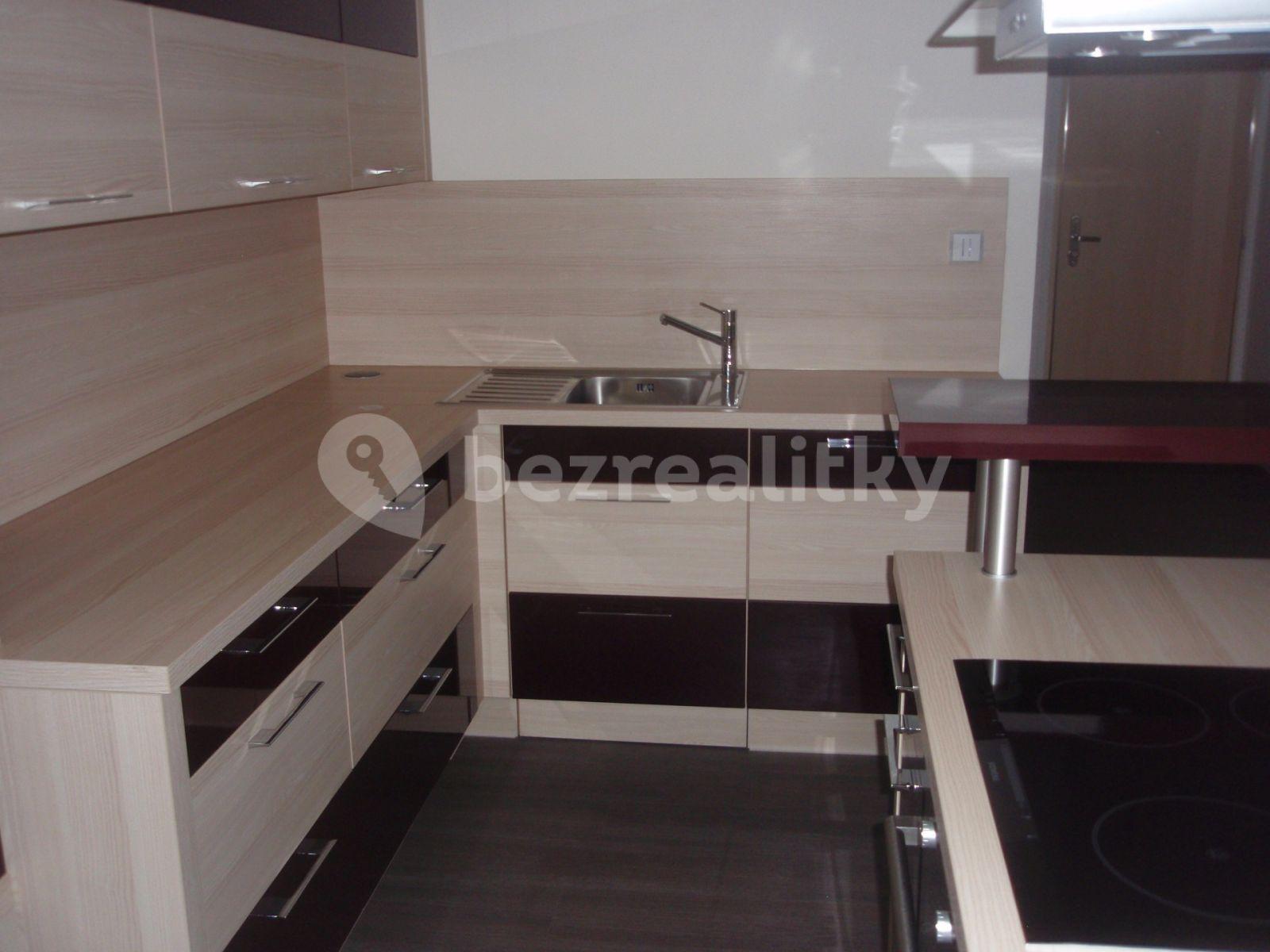 1 bedroom with open-plan kitchen flat to rent, 68 m², Vejražkova, Prague, Prague