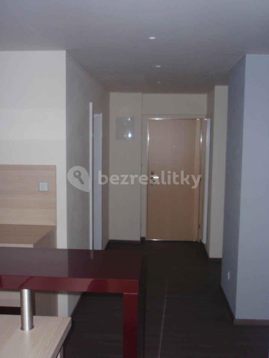 1 bedroom with open-plan kitchen flat to rent, 68 m², Vejražkova, Prague, Prague