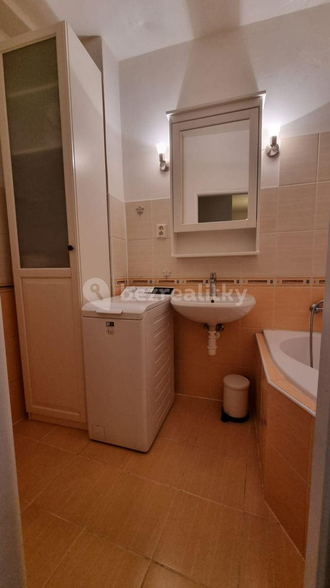 1 bedroom with open-plan kitchen flat to rent, 46 m², Chocholouškova, Prague, Prague